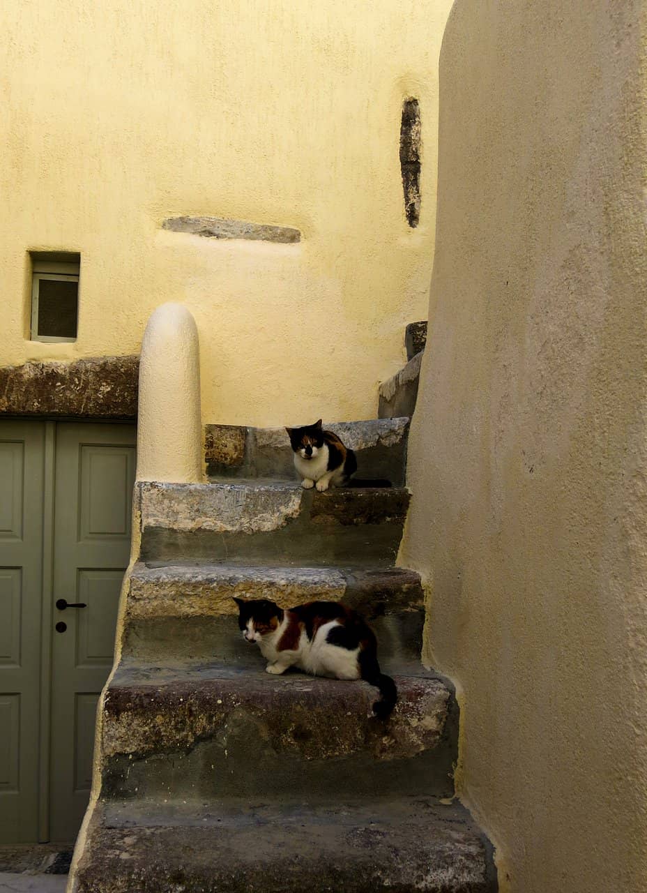 Panoramic Island Views