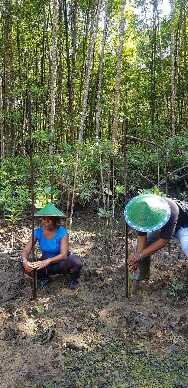 Crocodile Encounters