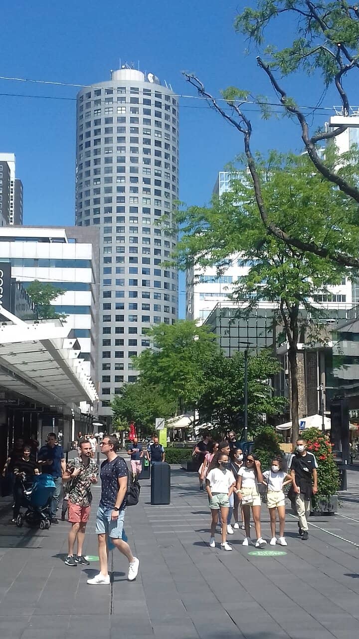 Benches for Relaxation