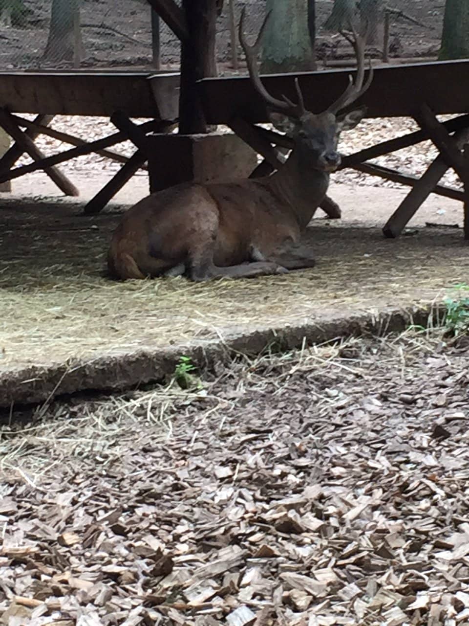 Sprawling Nature Trails