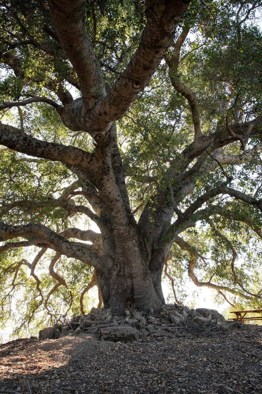 Vineyard Views Tasting Room
