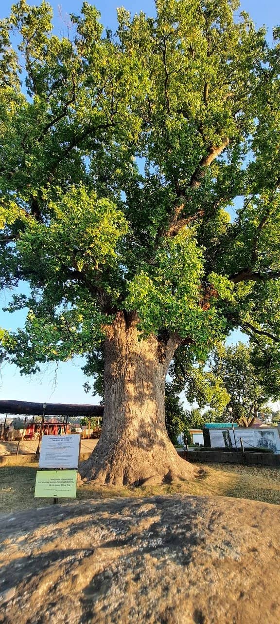 Historical Significance