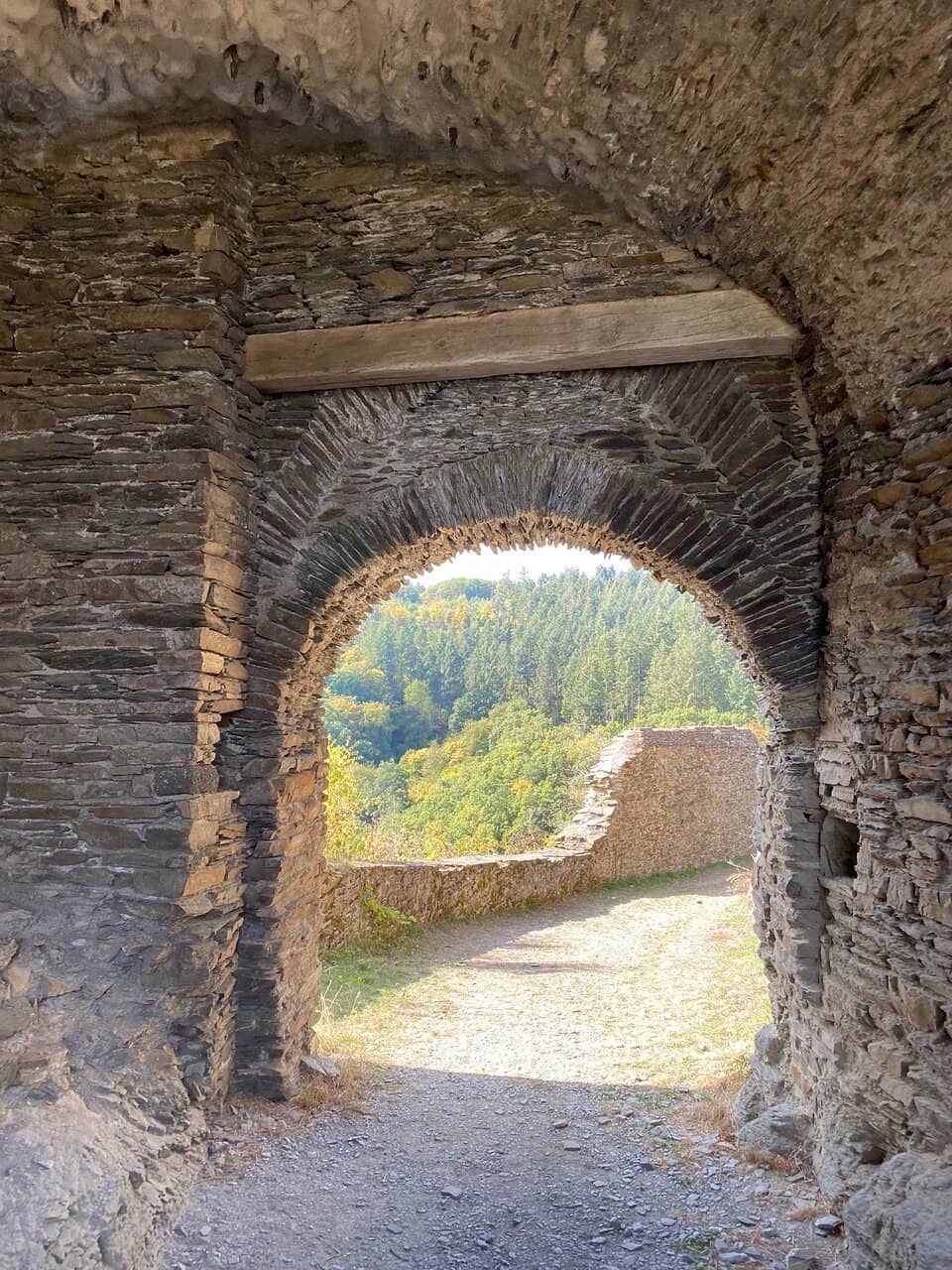 Self-Guided Exploration