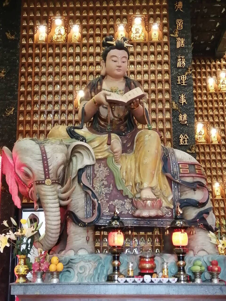 Panoramic Rice Field Vistas