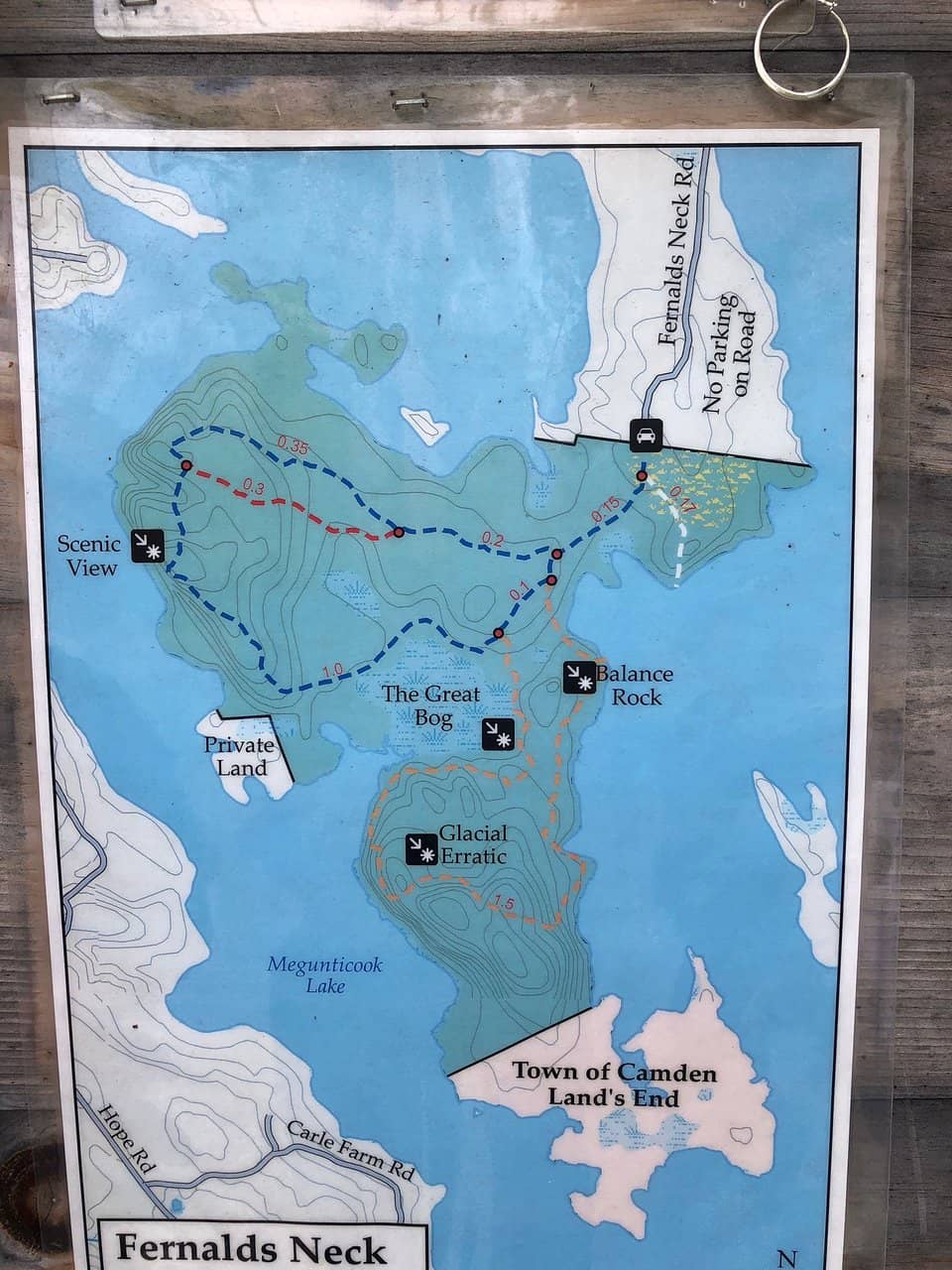 Lake Views & Swimming