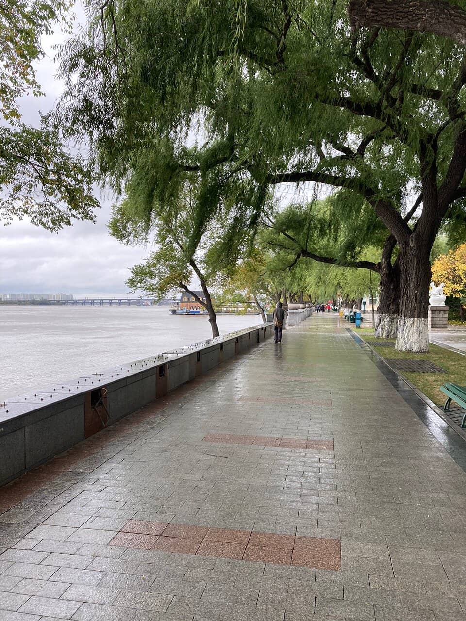 Winter Swimming Spectacle