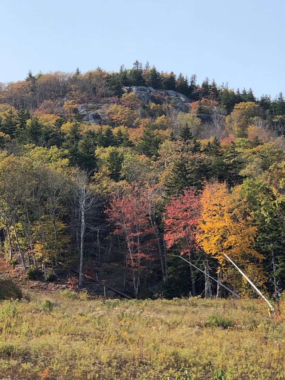 Ocean Views from the Summit
