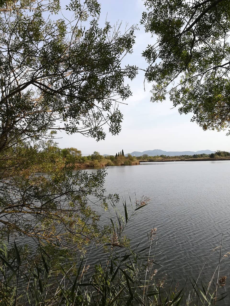 Peaceful Nature Walks