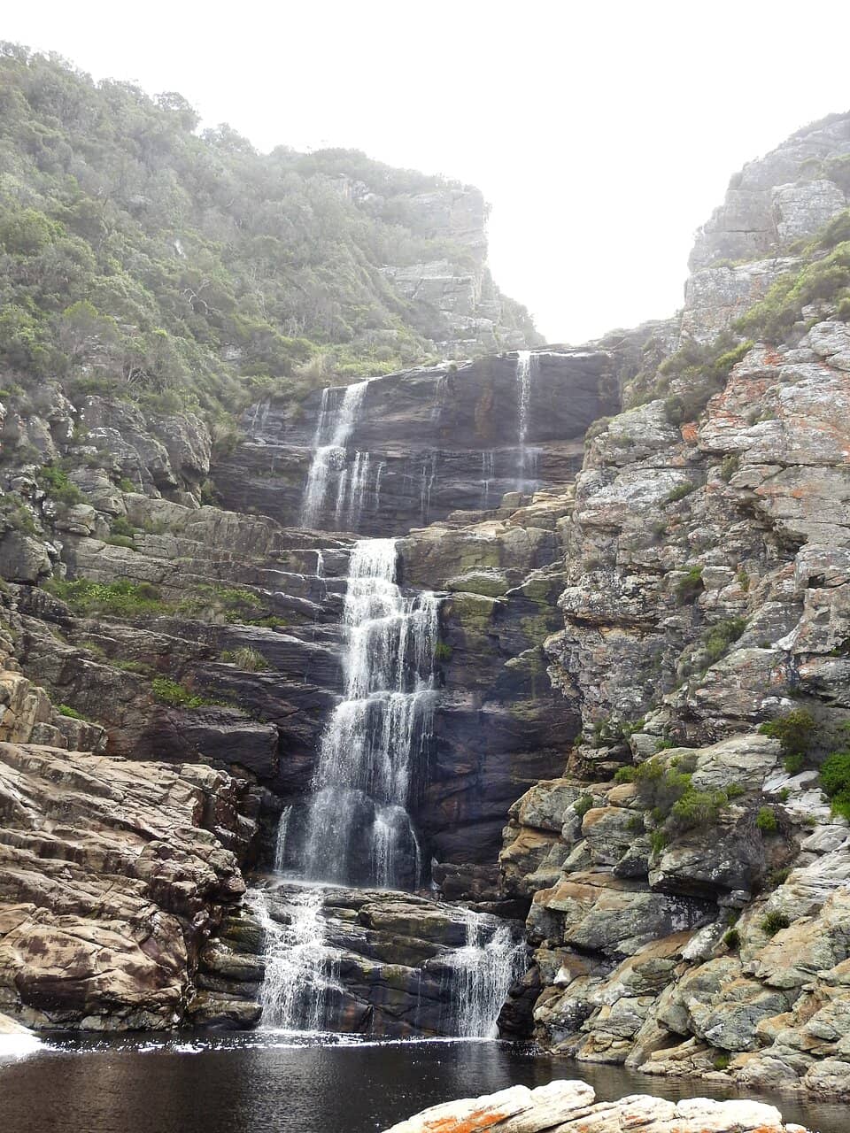 Marine Life Spotting