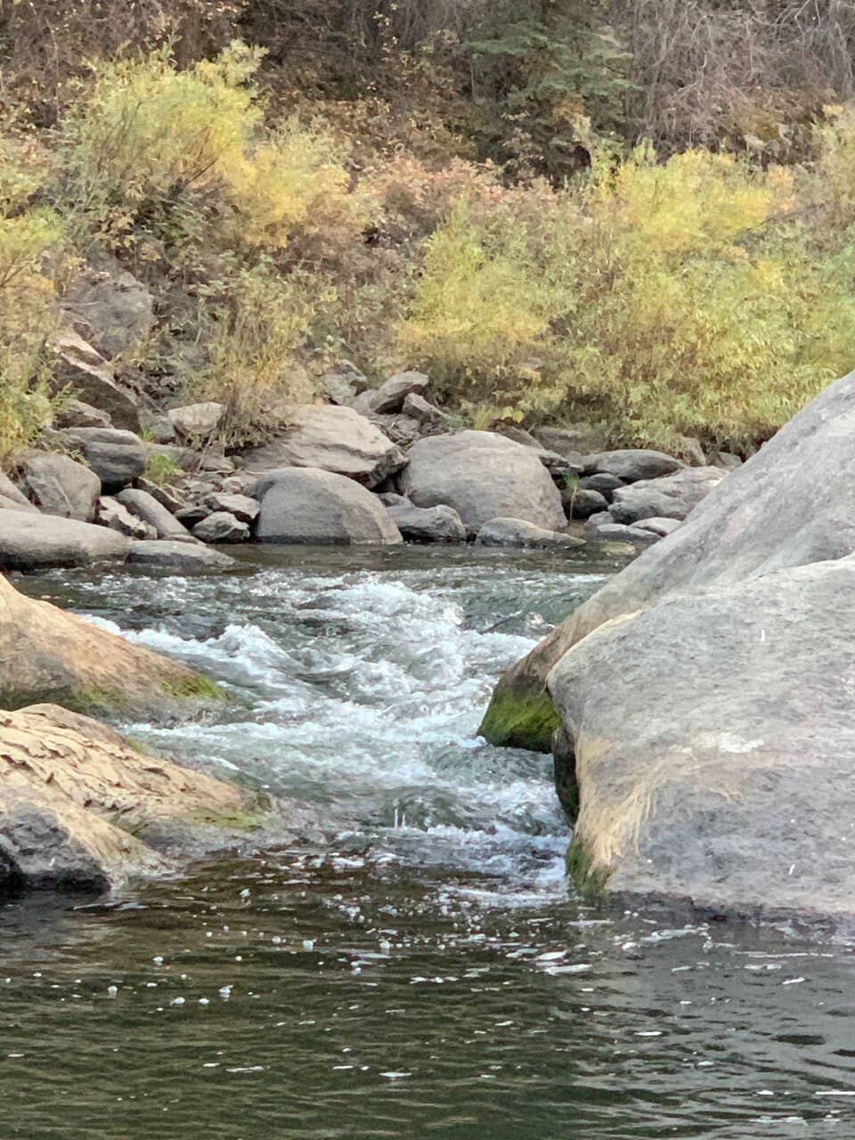 Eleven Mile Canyon River