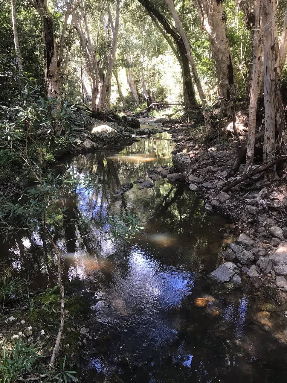 Proximity to Barron Falls