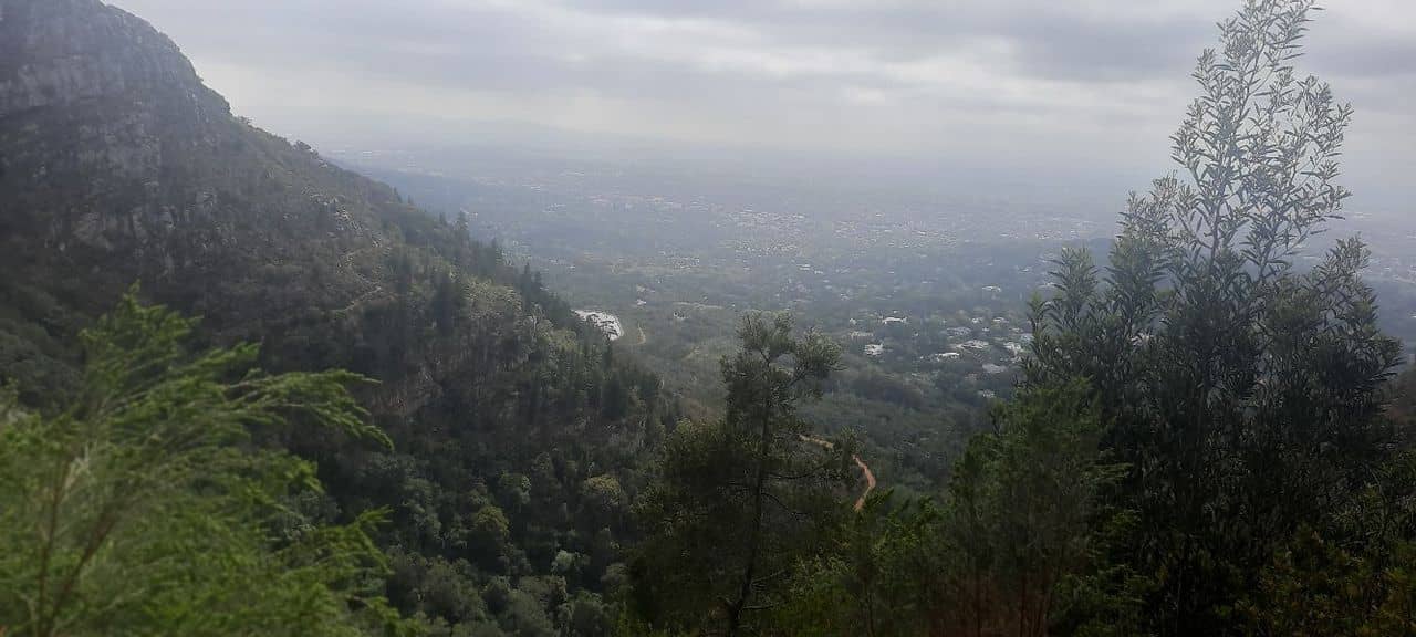 Peninsula Granite Fynbos