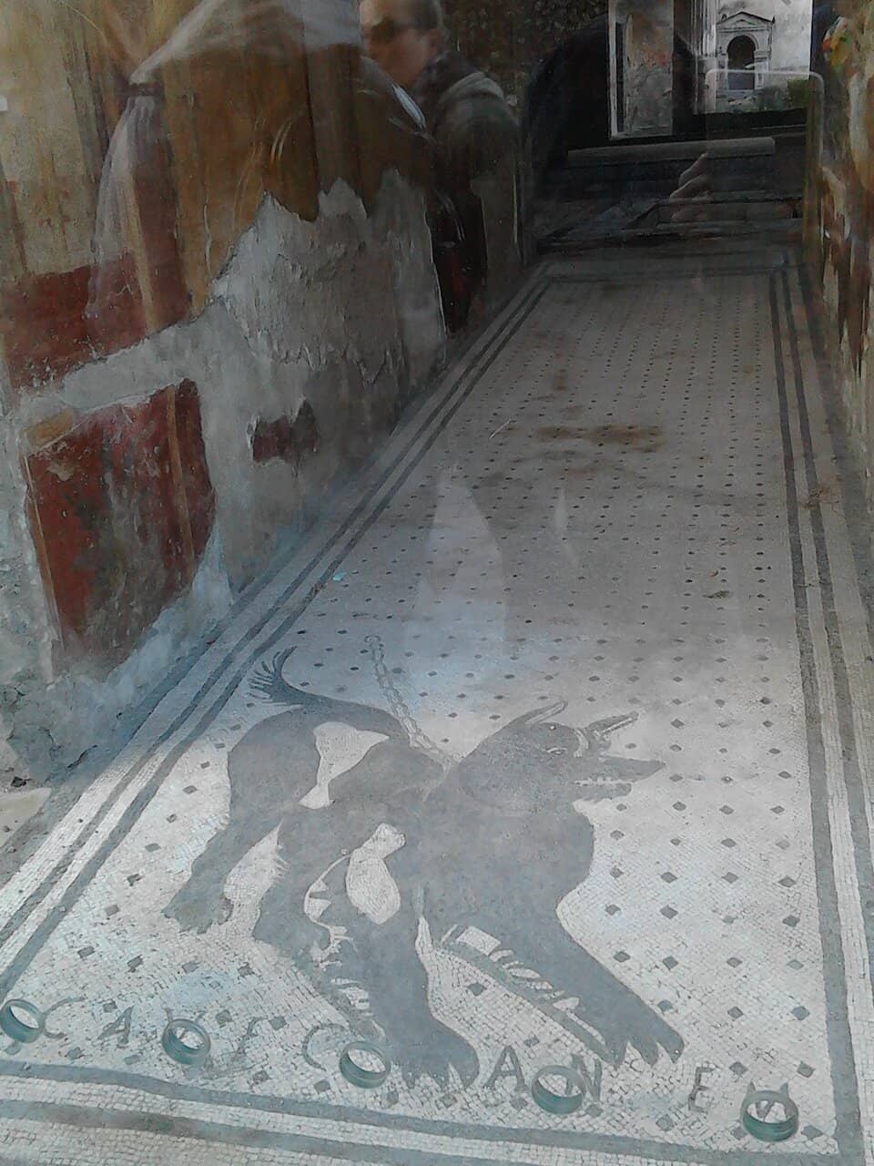 Cave Canem Mosaic