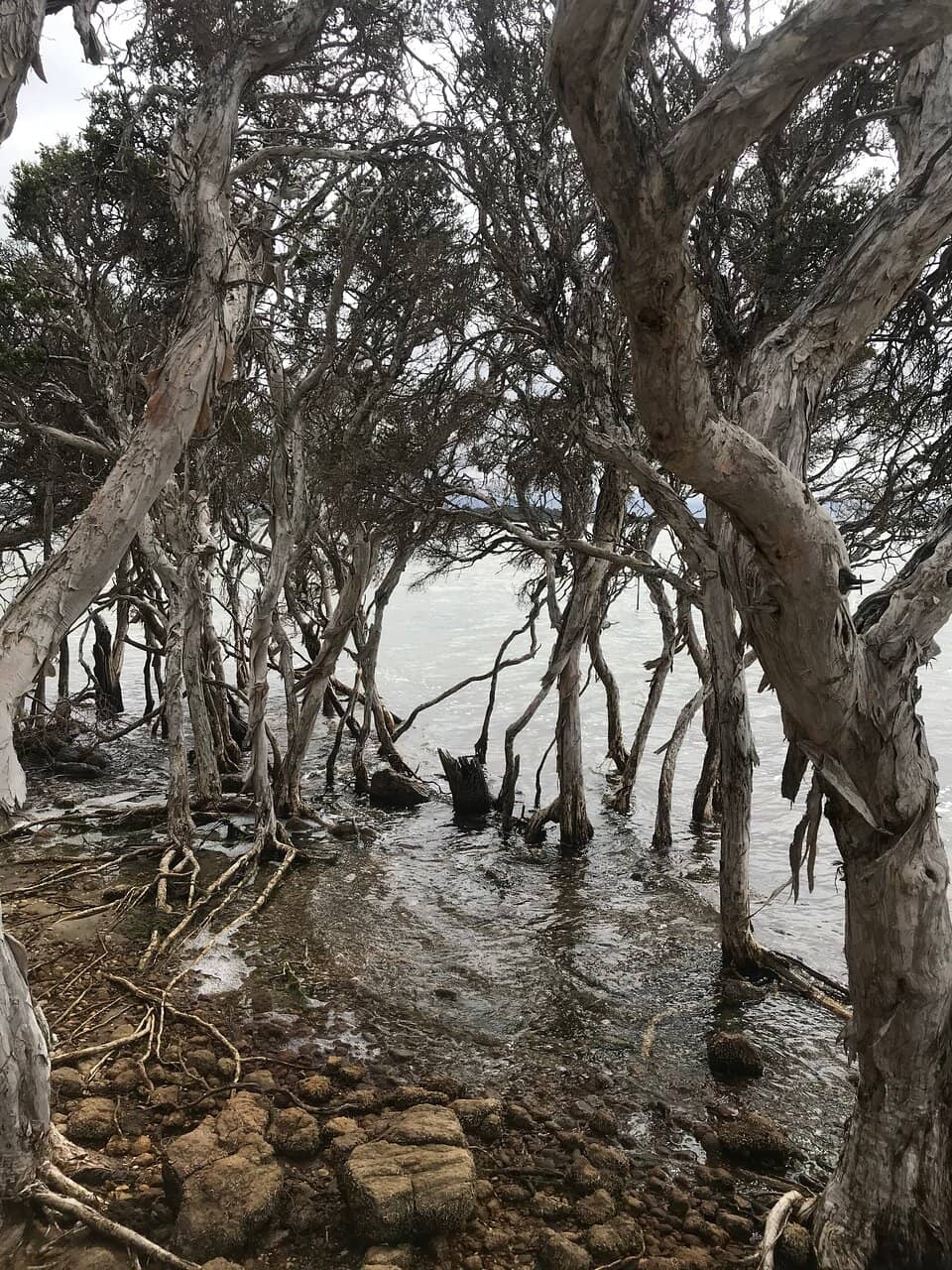 Stokes Inlet Foreshore
