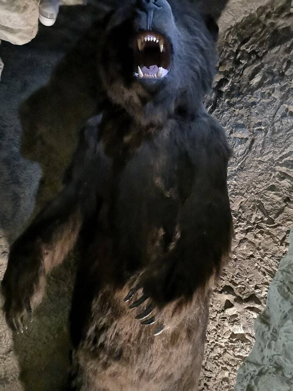 Interactive Learning for Kids