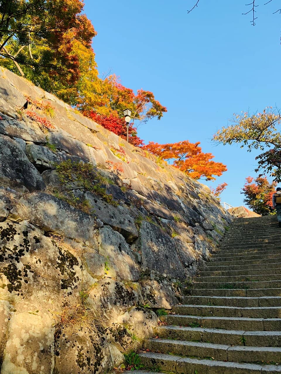 Well-Maintained Gardens