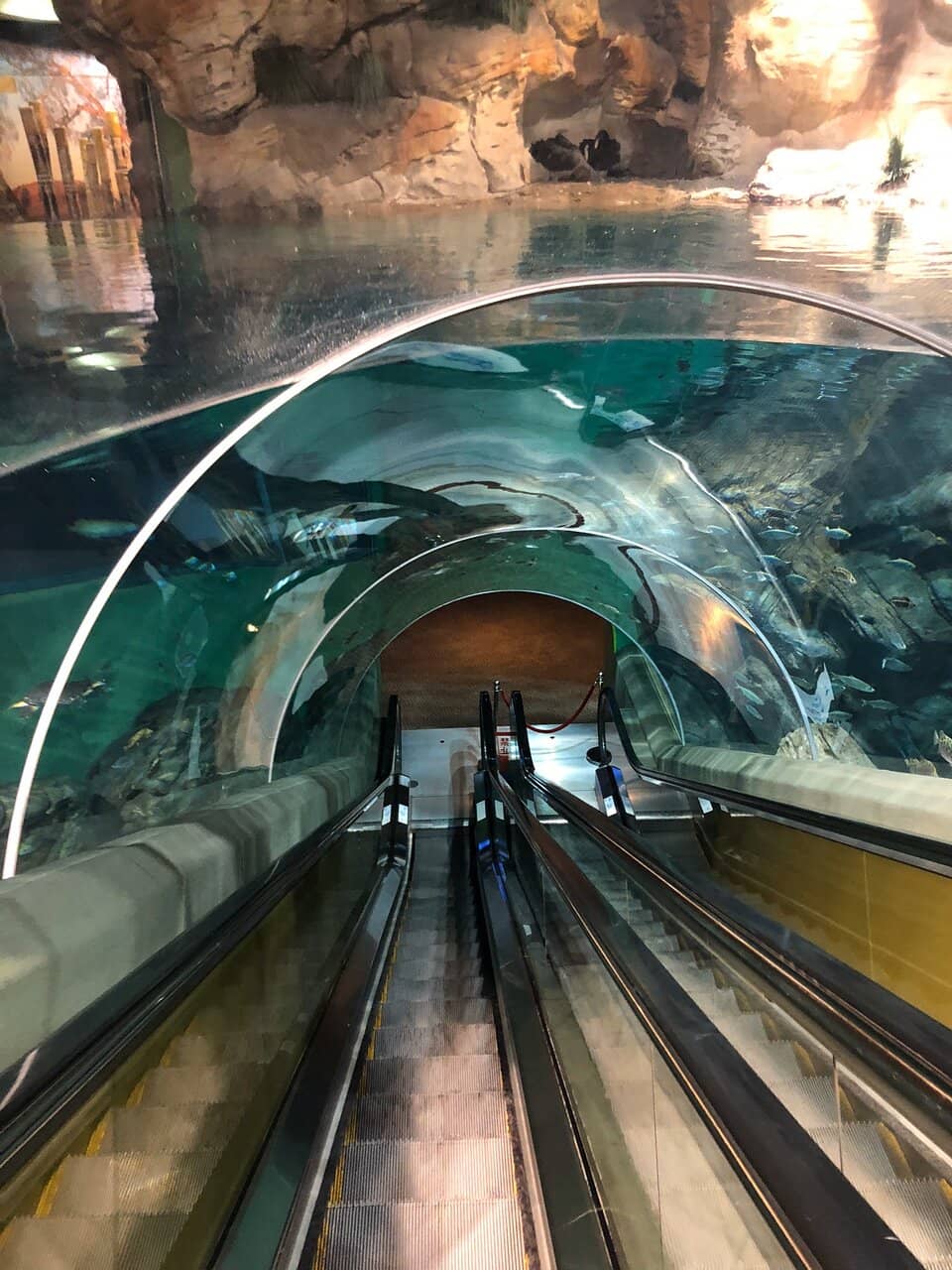 Polar Region Exhibit