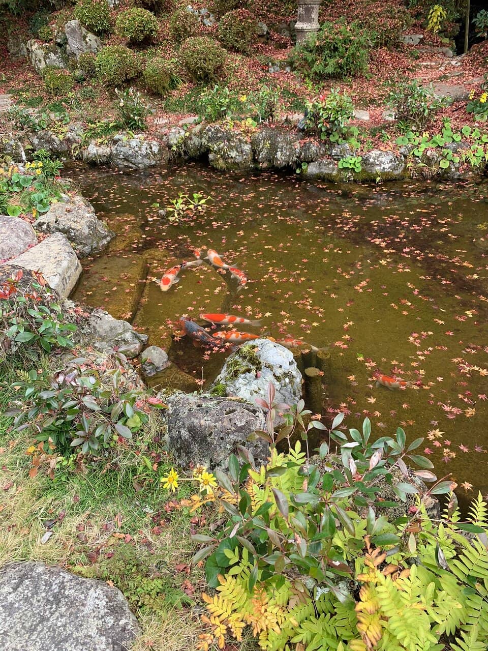 Architectural Harmony