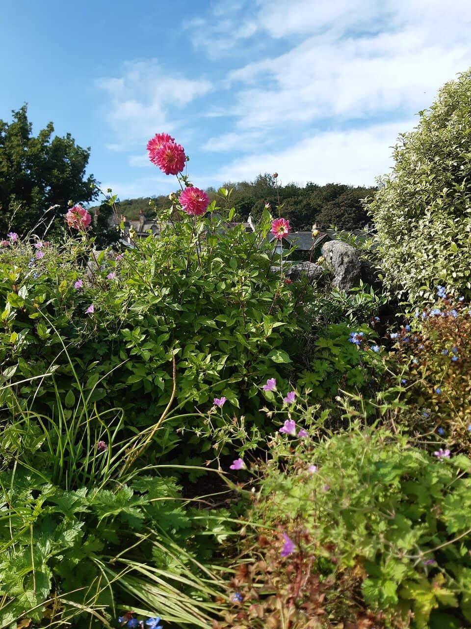 Children's Play Area