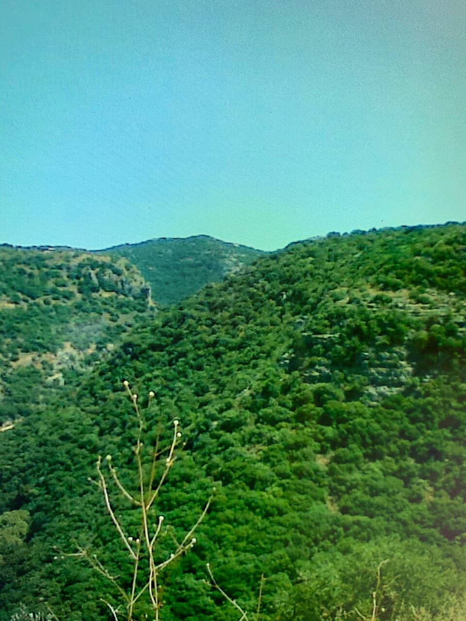 Natural Ponds and Pools