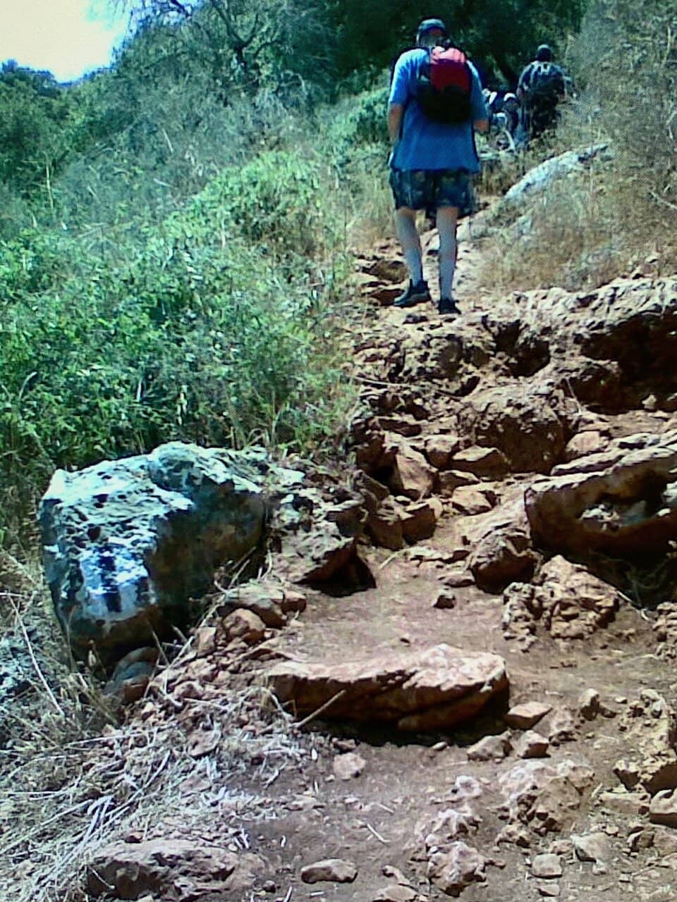 Montfort Fortress Views