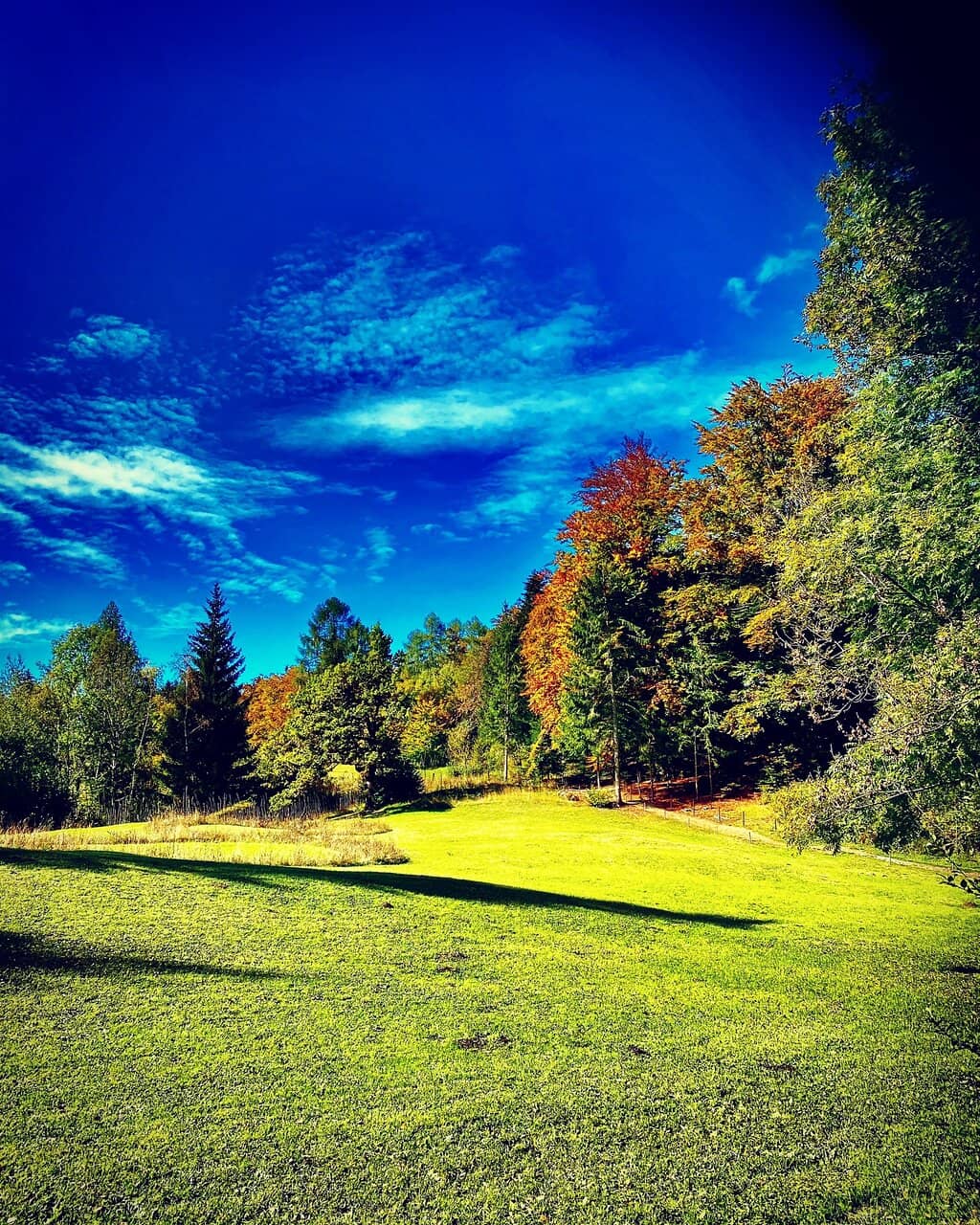 Seasonal Transformations