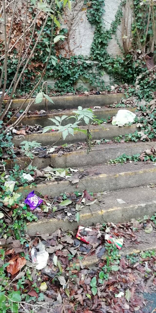 Wooded Walking Paths