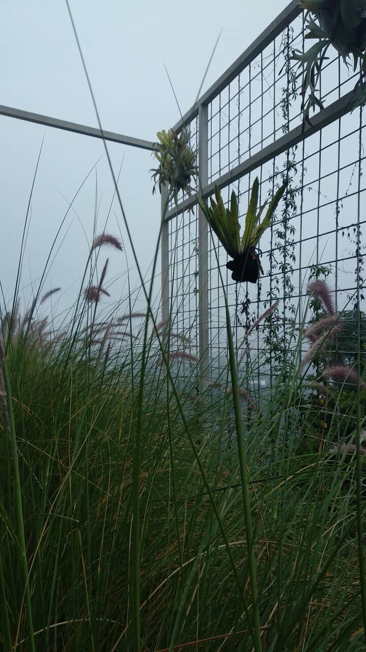 Wedding Venue & Event Space