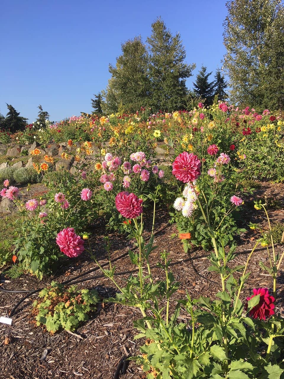 Amphitheater & Event Space