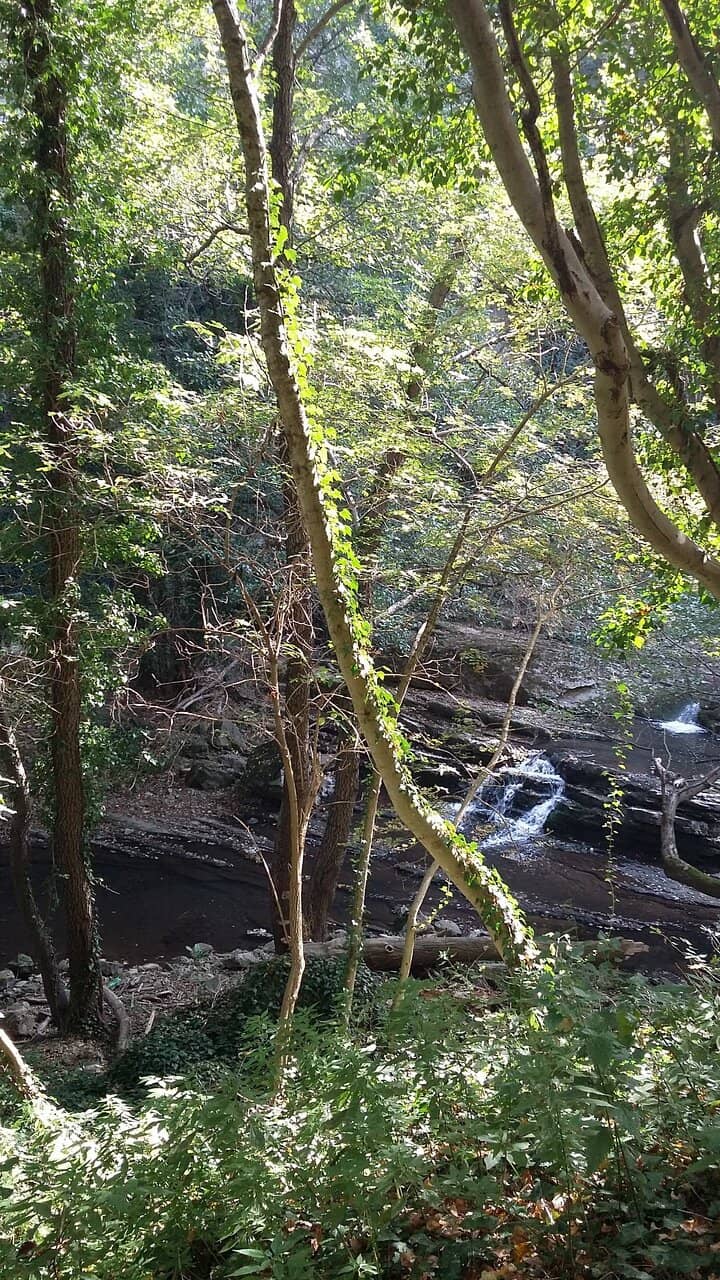 Archaeological Significance