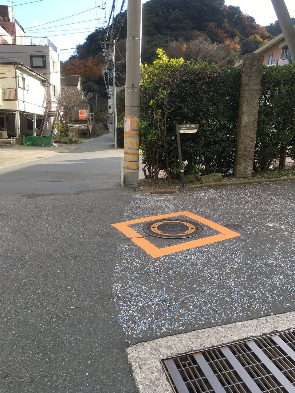 Observation Platform Views