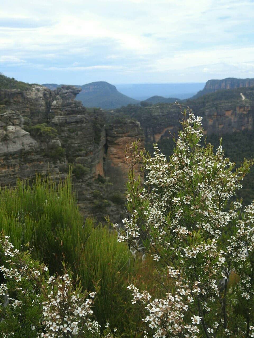 Panoramic Valley Views