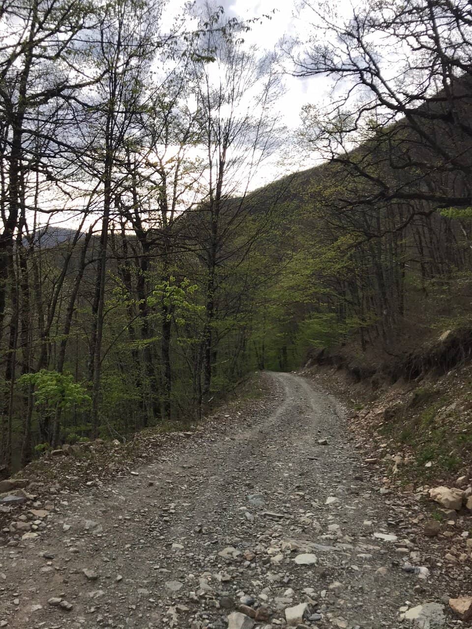Pure Air and Silence