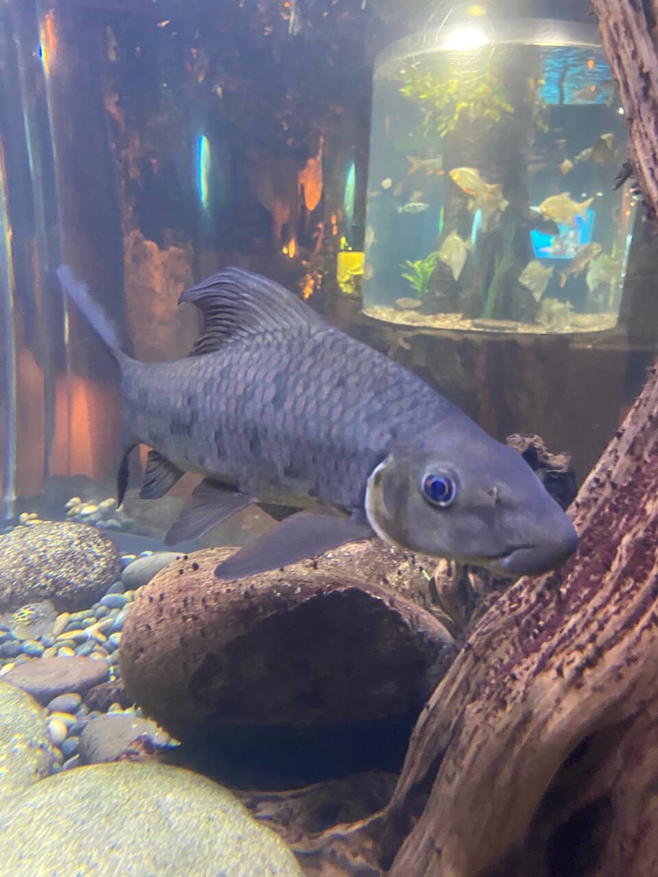 Interactive Learning