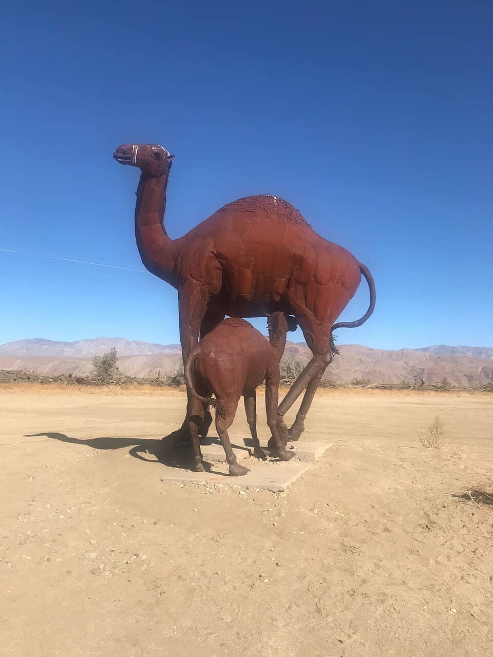 Extinct Animal Sculptures