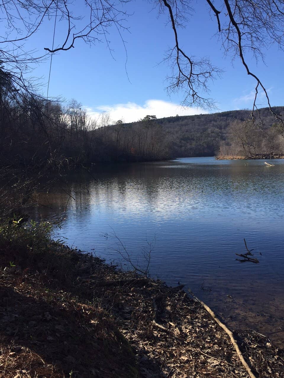 Dry River Bed Exploration
