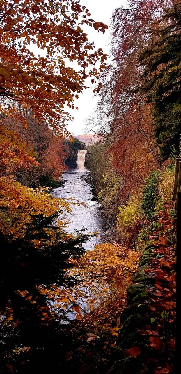 Rock Diving Spectacle