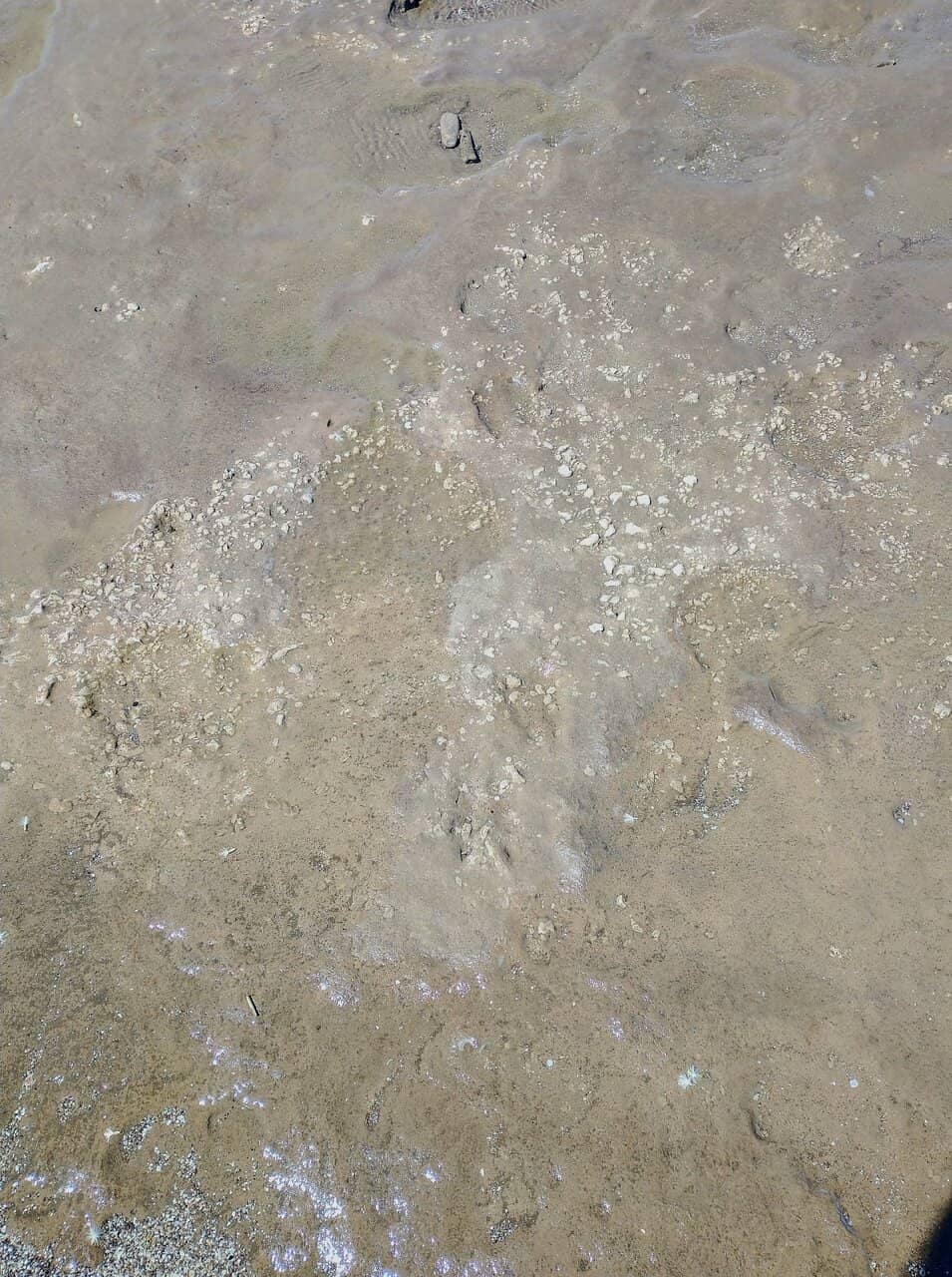 Scenic Coastal Trails