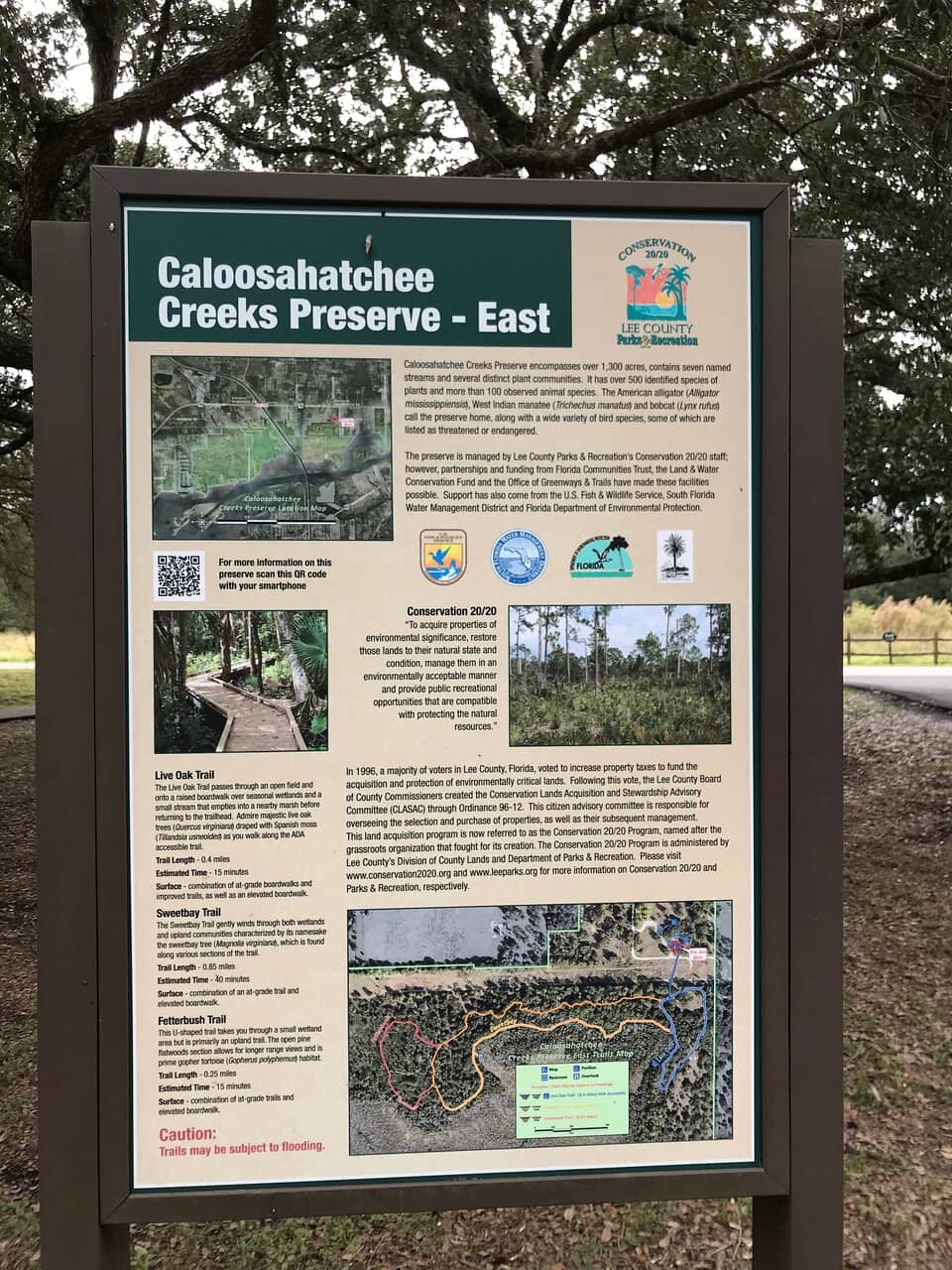 Boardwalk Through Wetlands