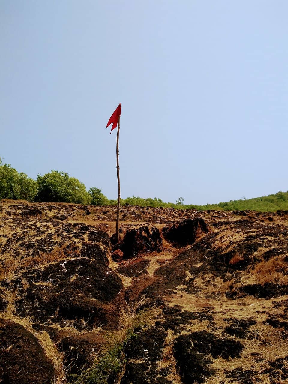 Peaceful Surroundings