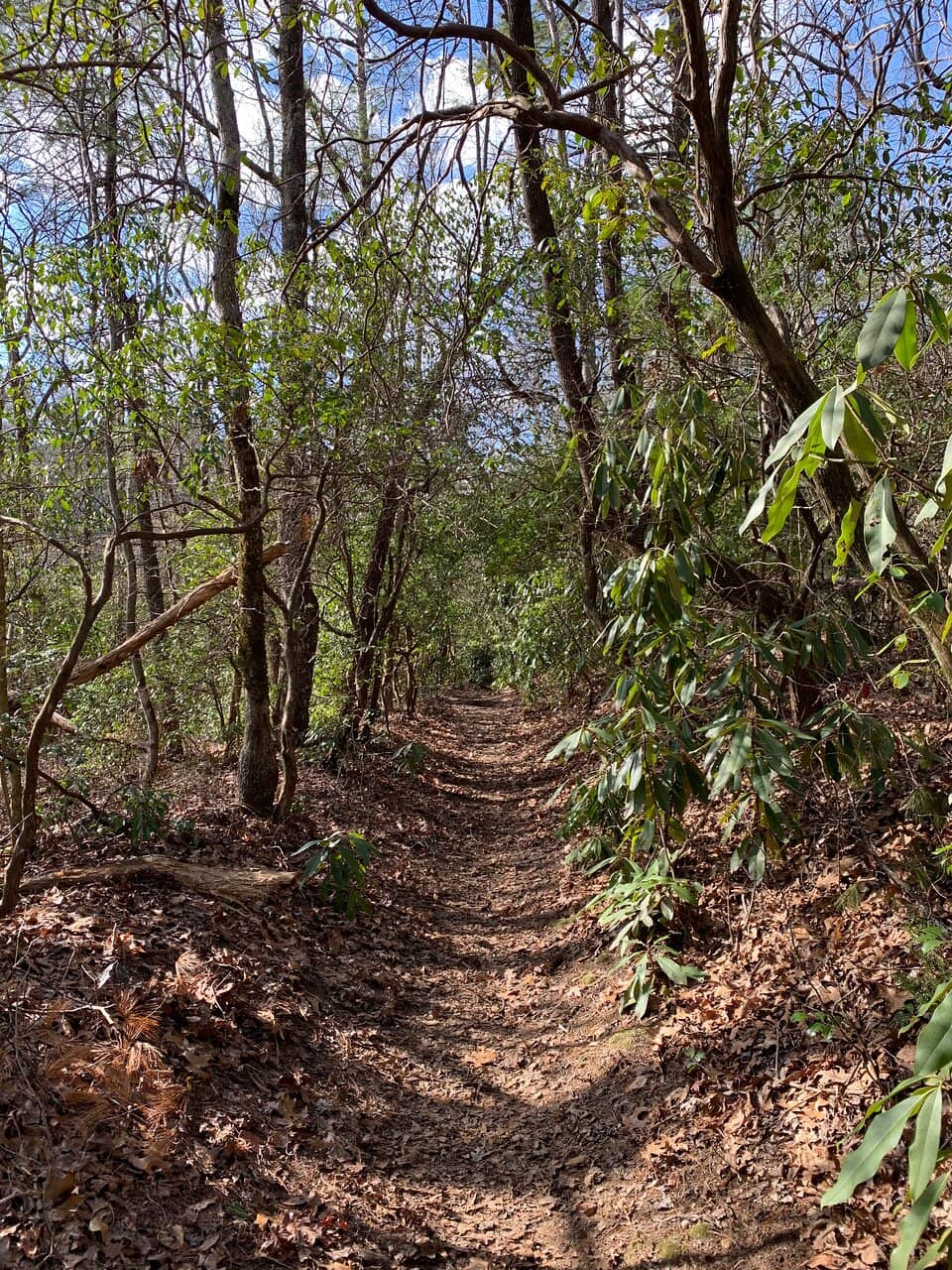 Panoramic Mountain Views