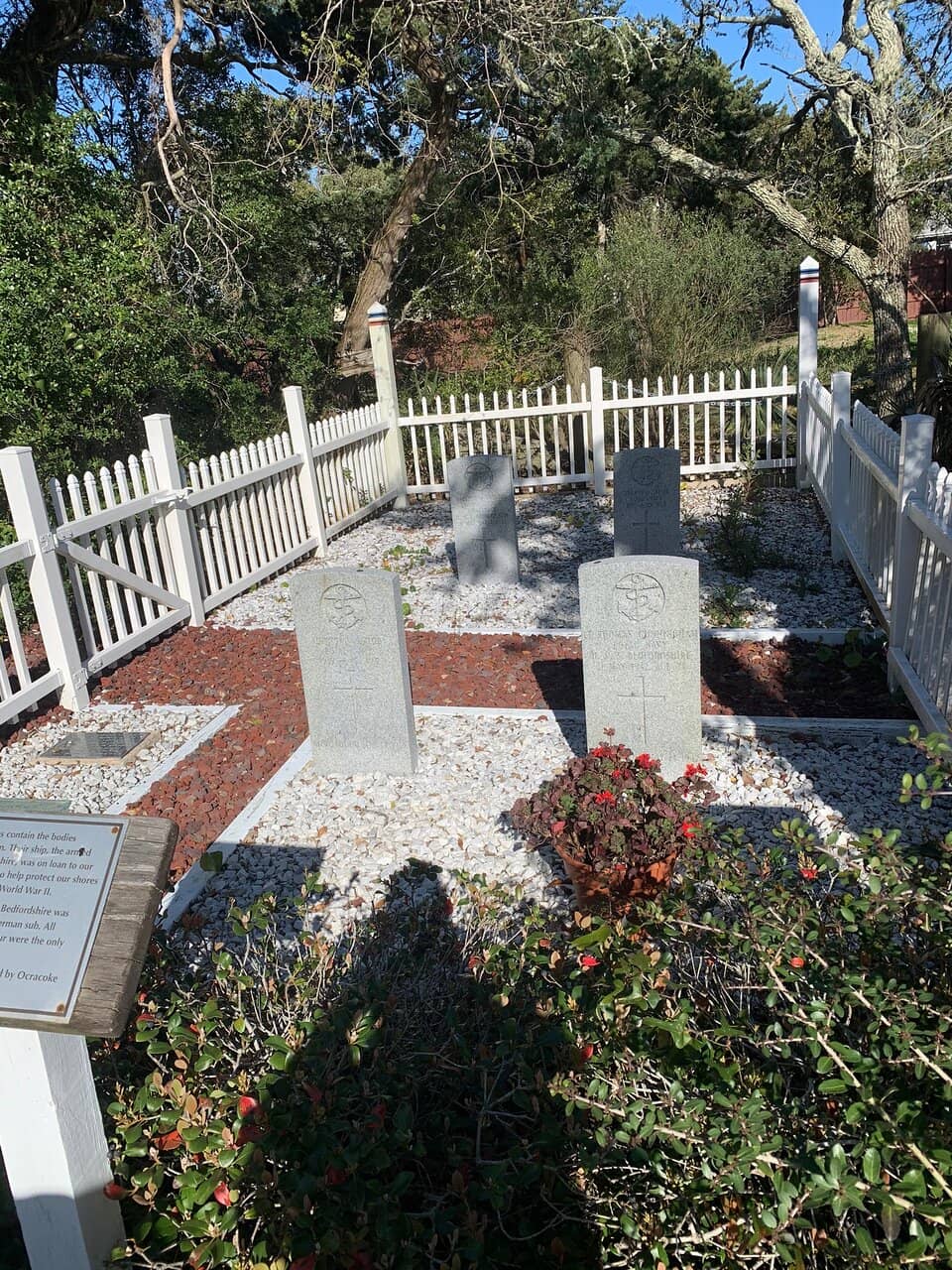Rows of Headstones