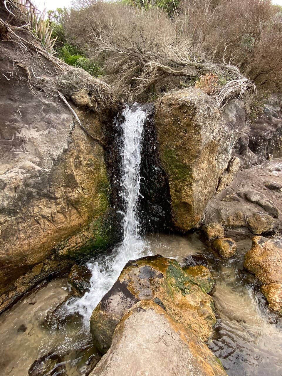Pristine Sandy Shores
