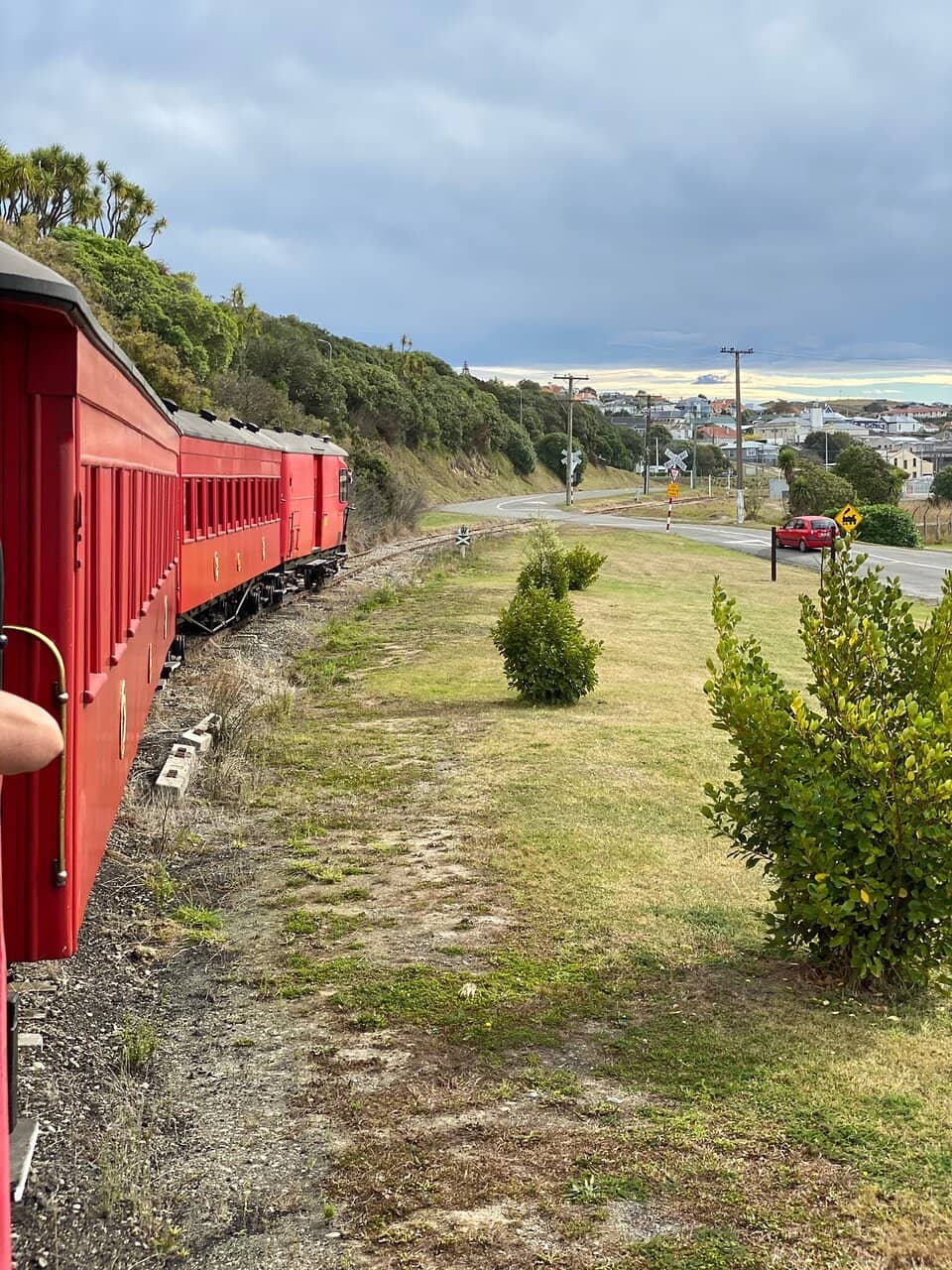 Penguin Colony Visit