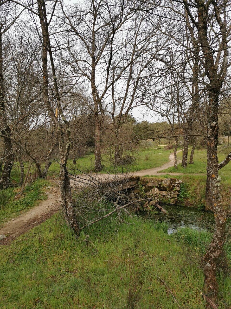 The Virgin of the Camino