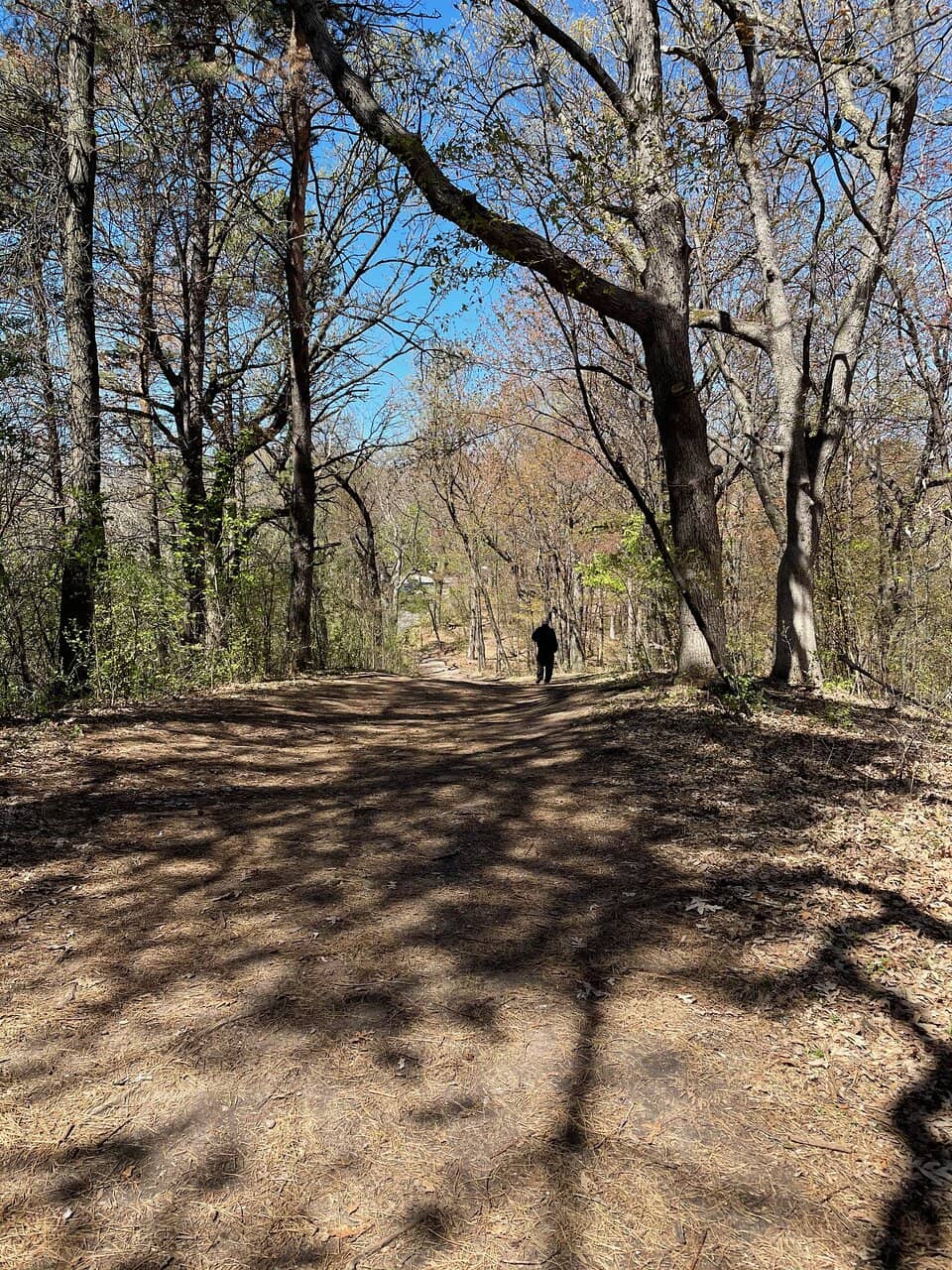 Eloise Butler Wildflower Garden
