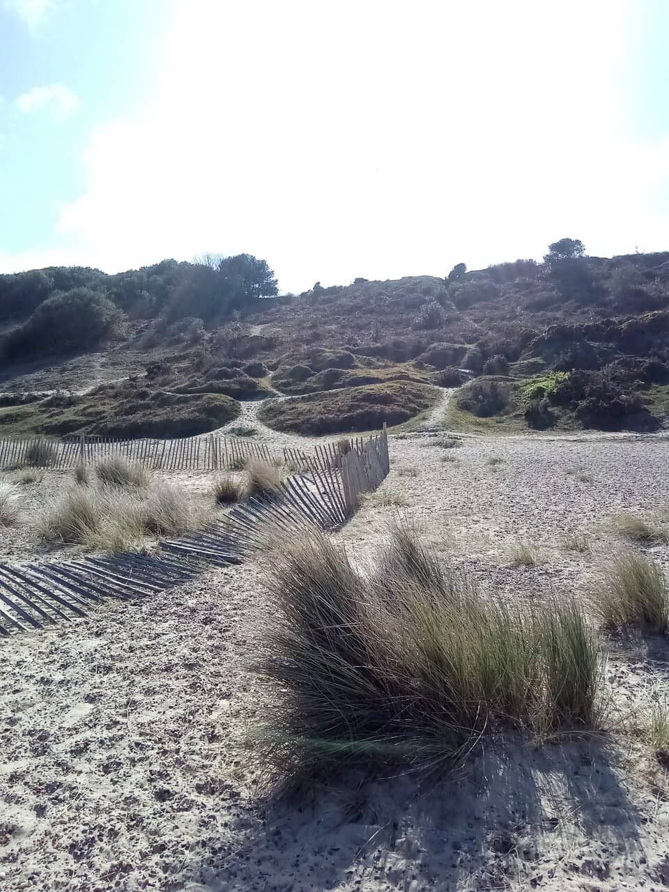 Secluded Sandy Beach