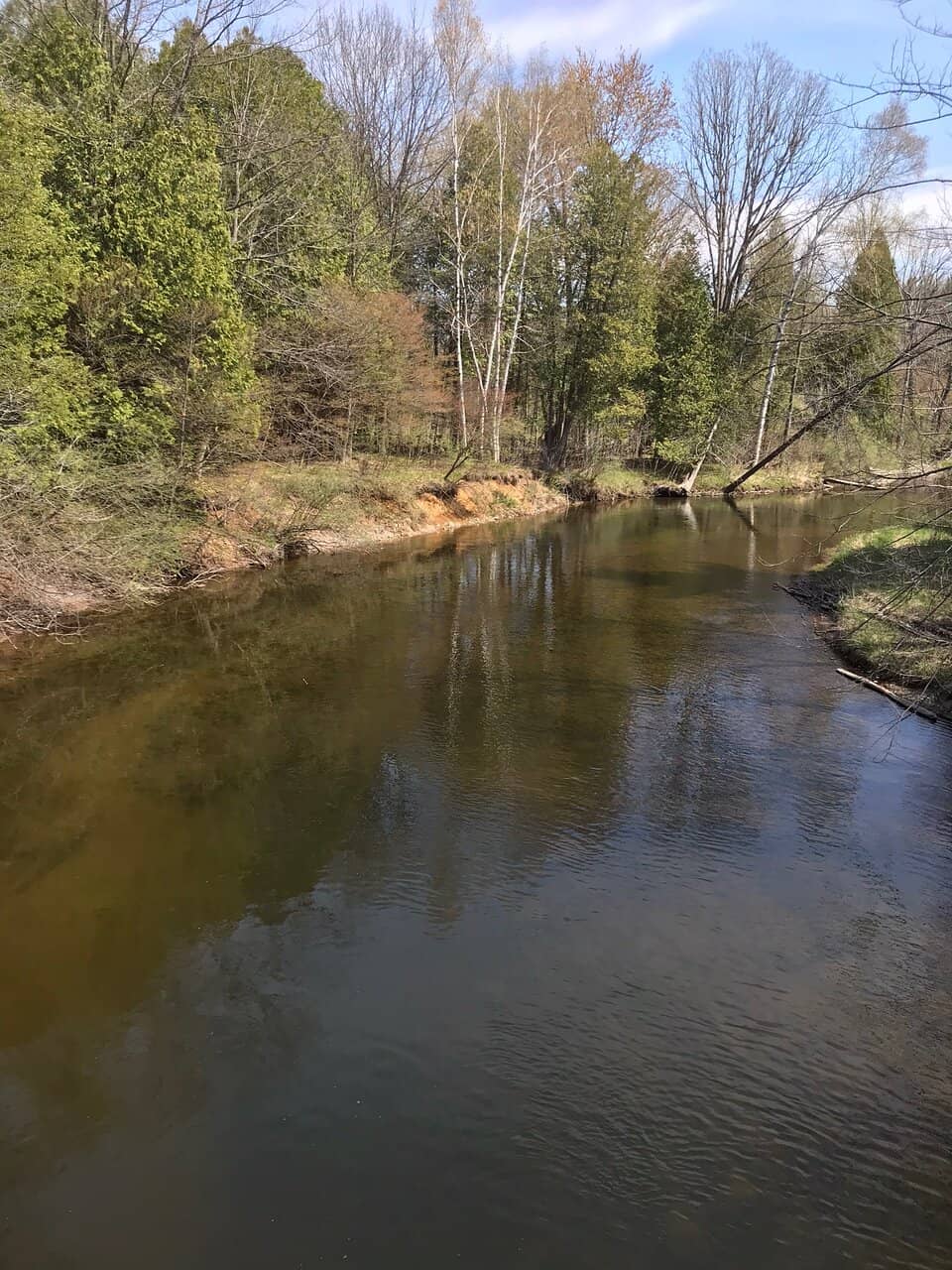 Suspension Bridge Thrills