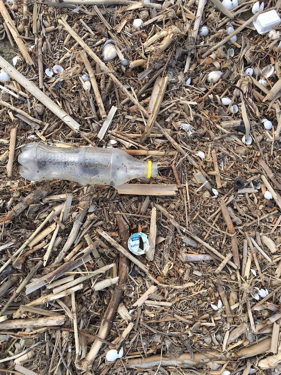 Local Flavors and Food Stalls