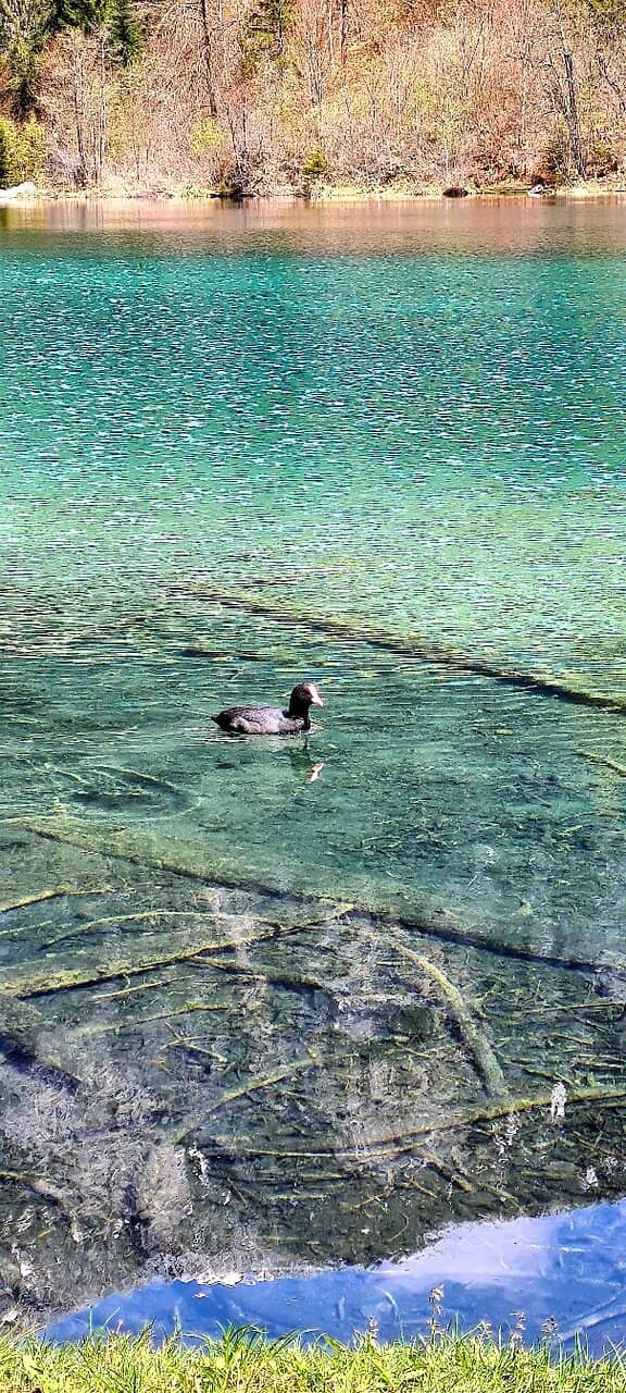 Crestasee Loop Trail